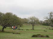 IMG_0458
