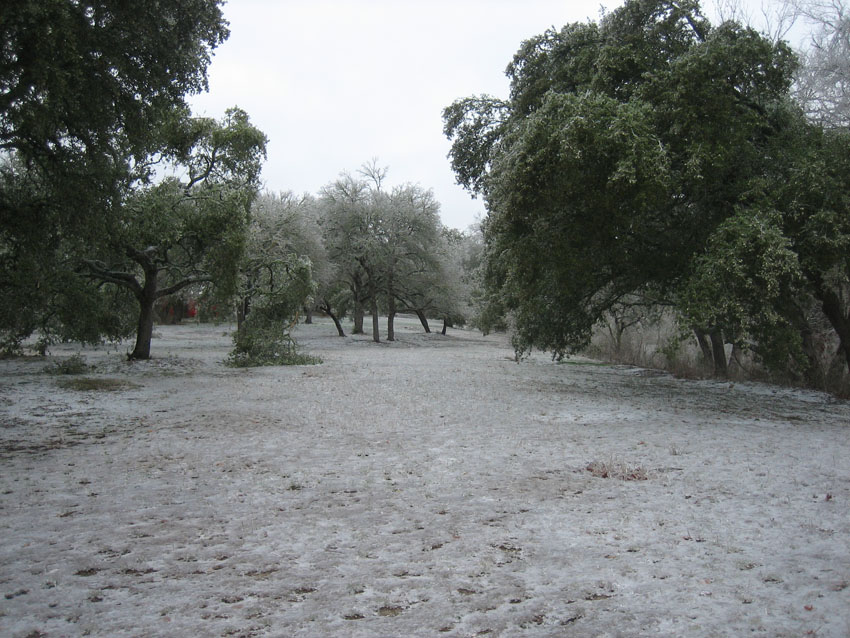 ri_020