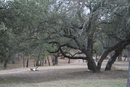 Nov0808 065